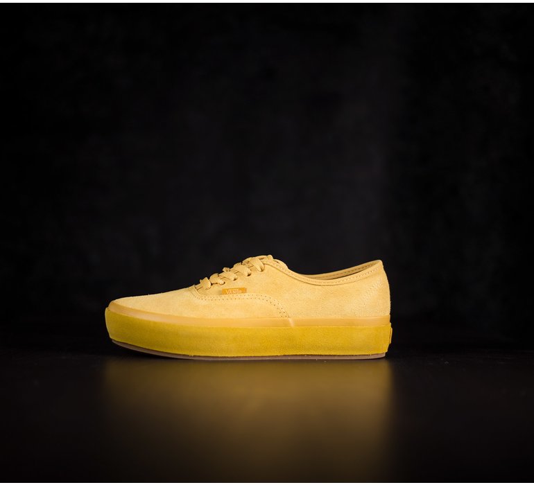 AUTHENTIC PLATFORM