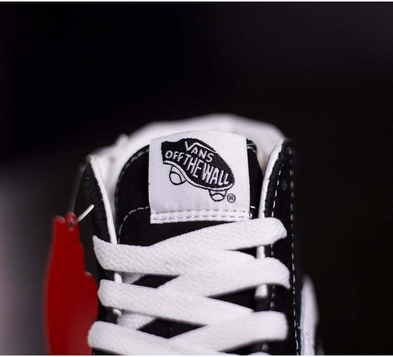 SK8-HI PLATFORM 2.0