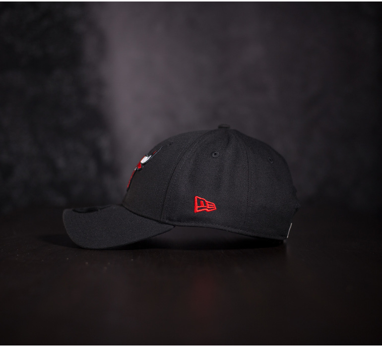 CHICAGO BULLS