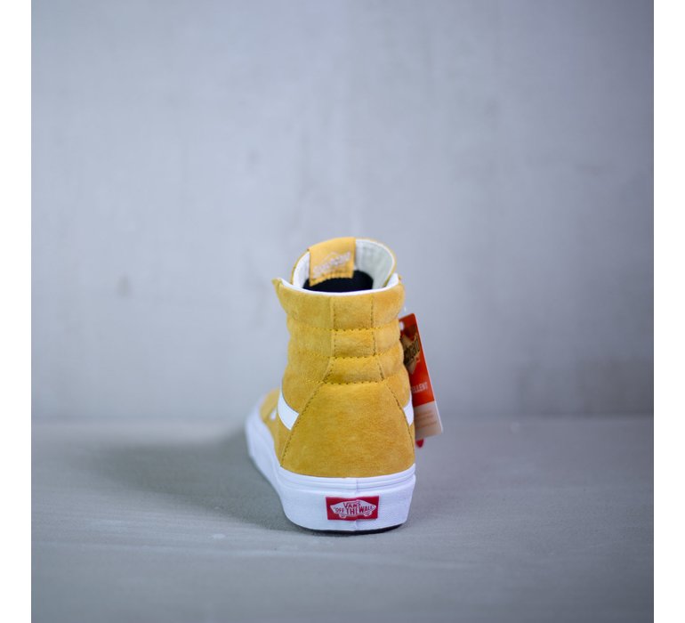 SK8-HI