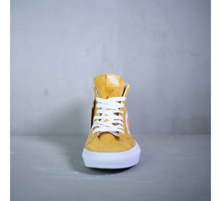 SK8-HI