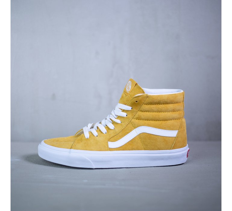 SK8-HI