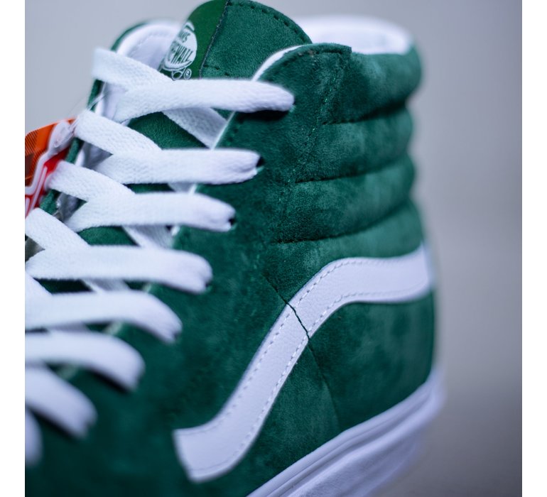 SK8-HI