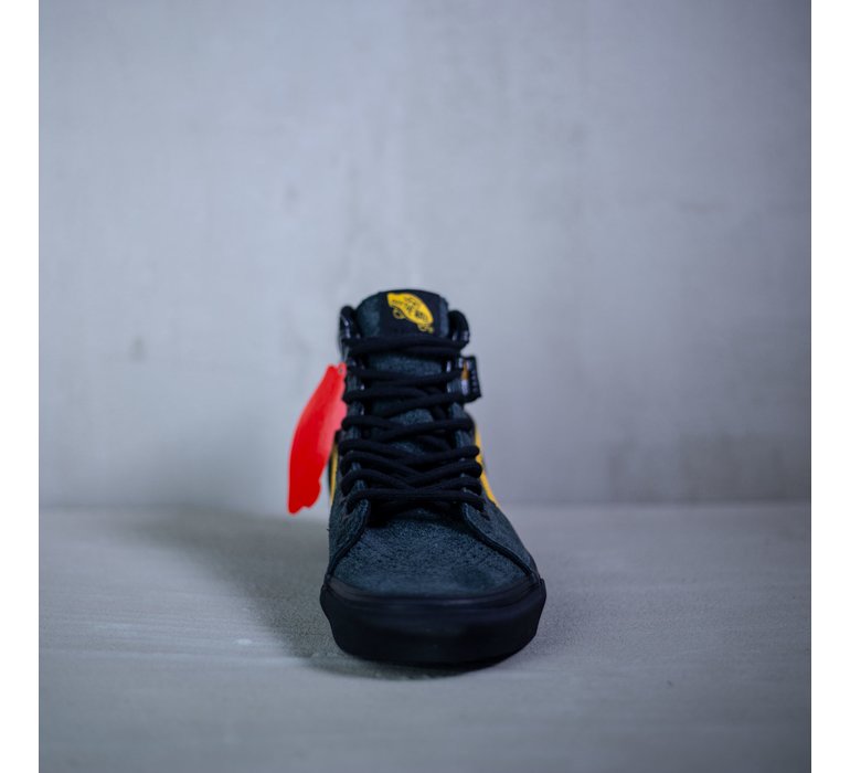 SK8-HI