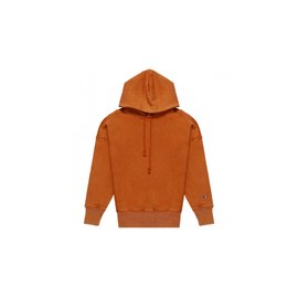 Champion Reverse Weave Crewneck Hoodie