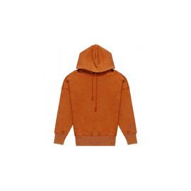 Champion Reverse Weave Crewneck Hoodie