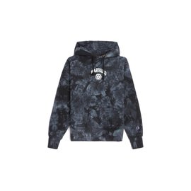 Champion Hooded Sweatshirt