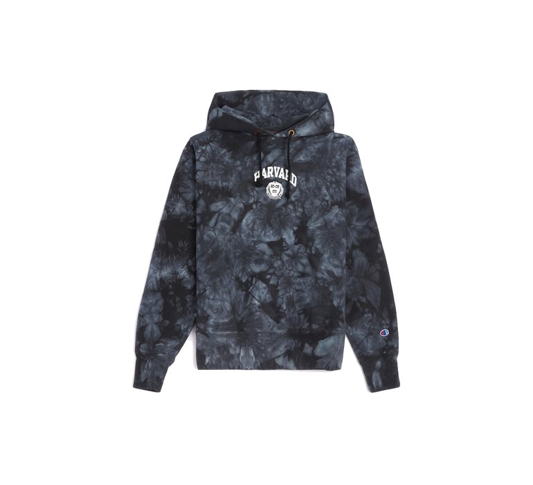 Champion Hooded Sweatshirt