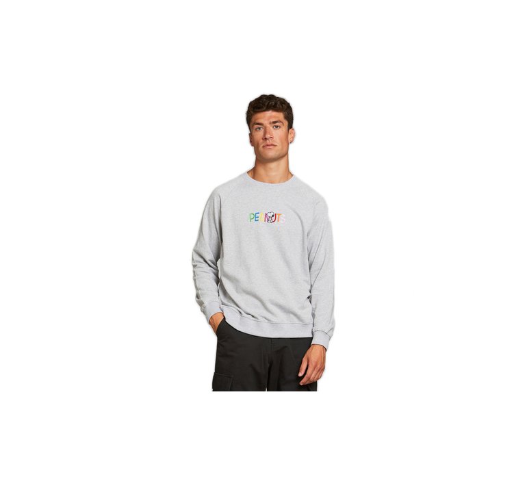Dedicated Sweatshirt Malmoe Peanuts Logo Grey Melange