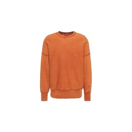 Champion Reverse Weave Crewneck Sweatshirt