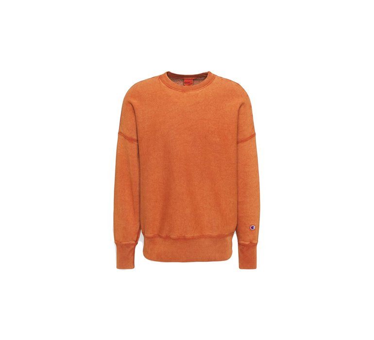 Champion Reverse Weave Crewneck Sweatshirt