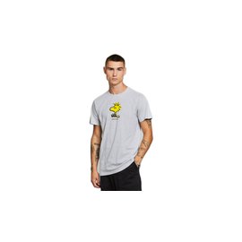 Dedicated T-shirt Stockholm Woodstock Grey Melange