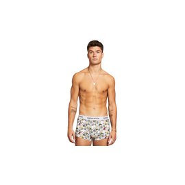 Dedicated Boxer Briefs Kalix Peanuts AOP Multi Color