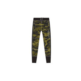 The North Face W Graphic Pant