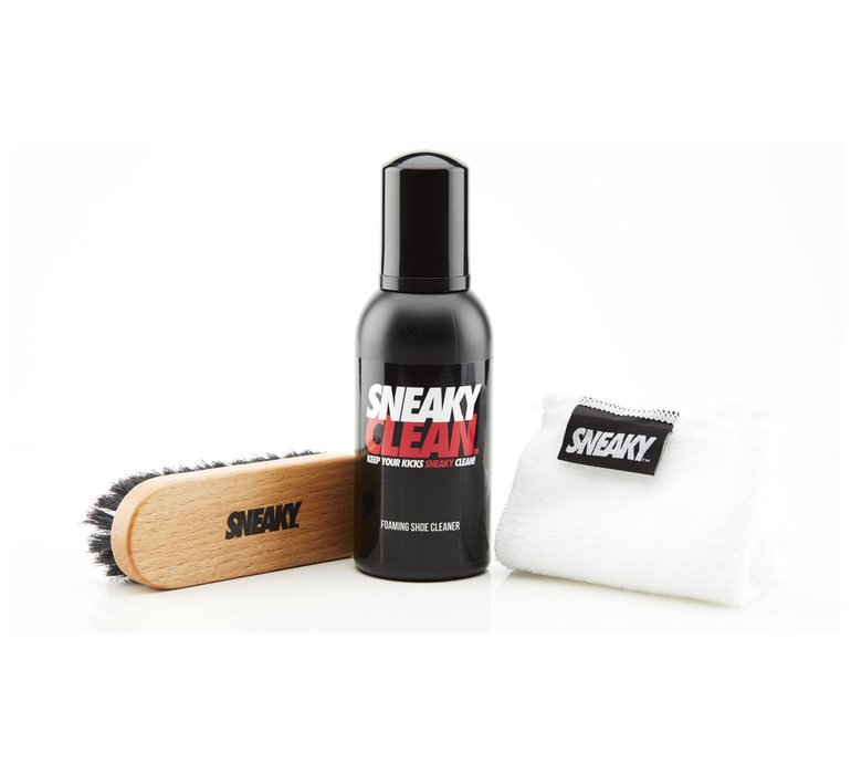 Sneaky Shoe Cleaning Kit