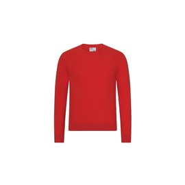 Colorful Standard Light Merino Wool Crew