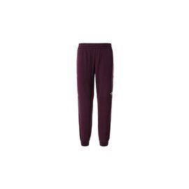 The North Face W Tekwr Fleece Pant