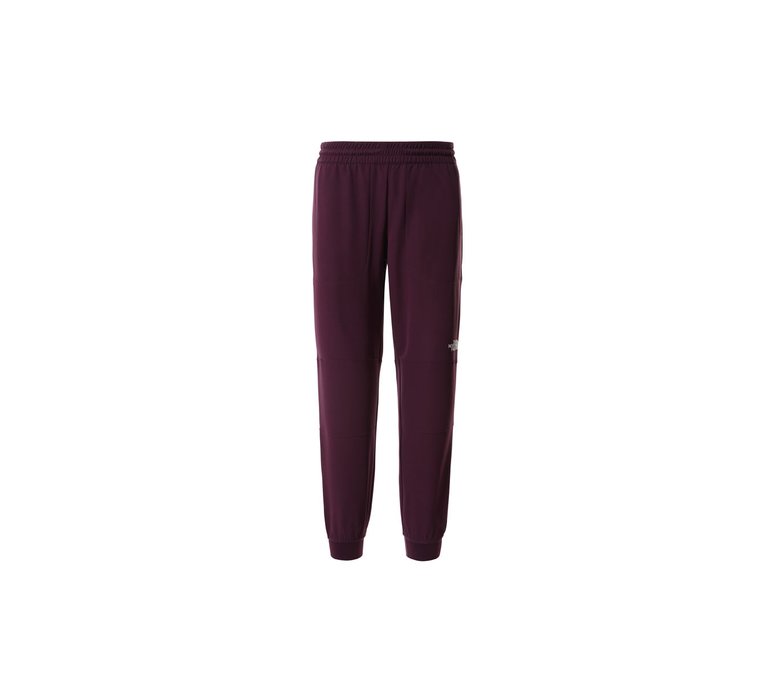 The North Face W Tekwr Fleece Pant