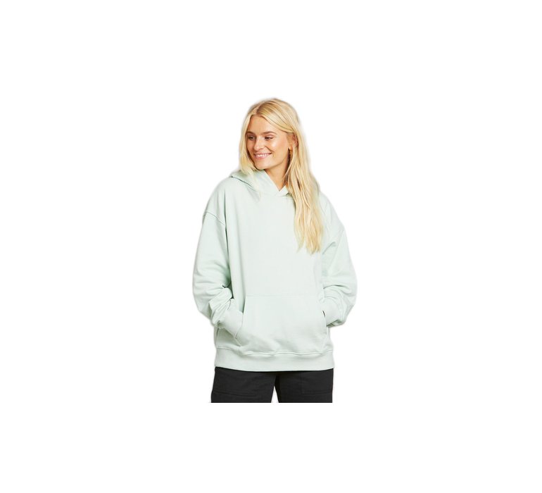 Dedicated Hoodie Sundborn Mint