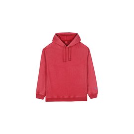 Champion Hooded Sweatshirt