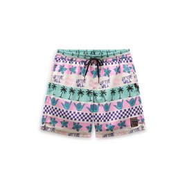 Vans x Stranger Things California Stripe Vollyshort