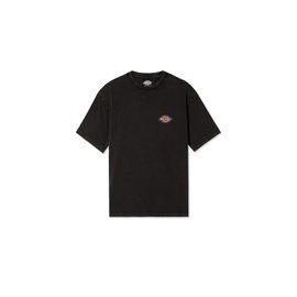 Dickies Icon Washed Tee SS