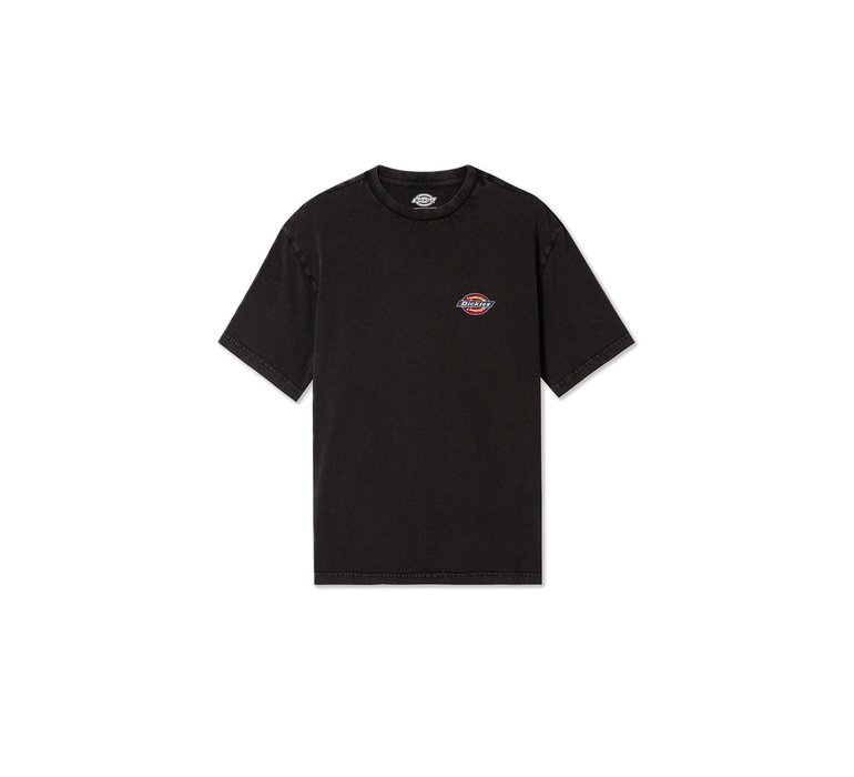 Dickies Icon Washed Tee SS