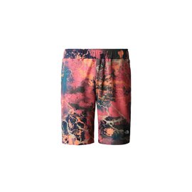 The North Face M Summer Logo Shorts