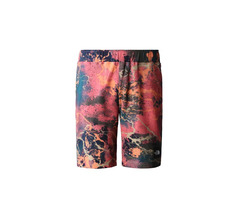 The North Face M Summer Logo Shorts