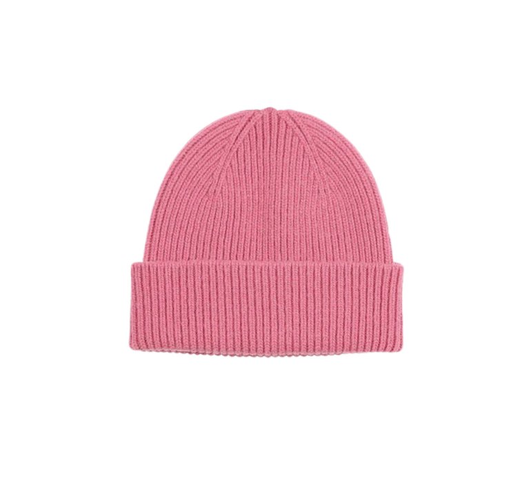 Colorful Standard Merino Wool Beanie