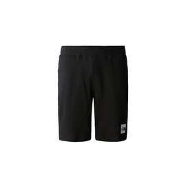 The North Face M Summer Logo Shorts