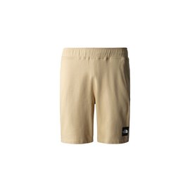 The North Face M Summer Logo Shorts