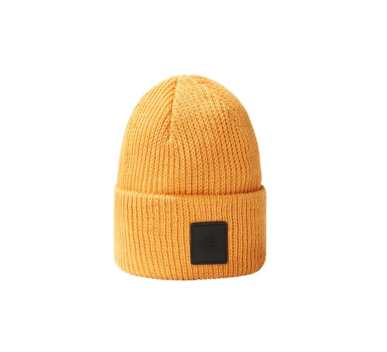 The North Face Explore Beanie