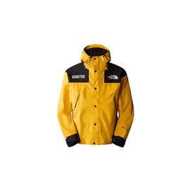 The North Face M Gore-Tex Mountain Jacket