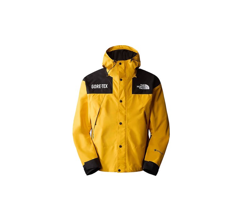 The North Face M Gore-Tex Mountain Jacket