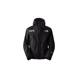 The North Face M Gore-Tex Mountain Jacket