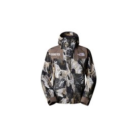 The North Face M Gore-Tex Mountain Jacket