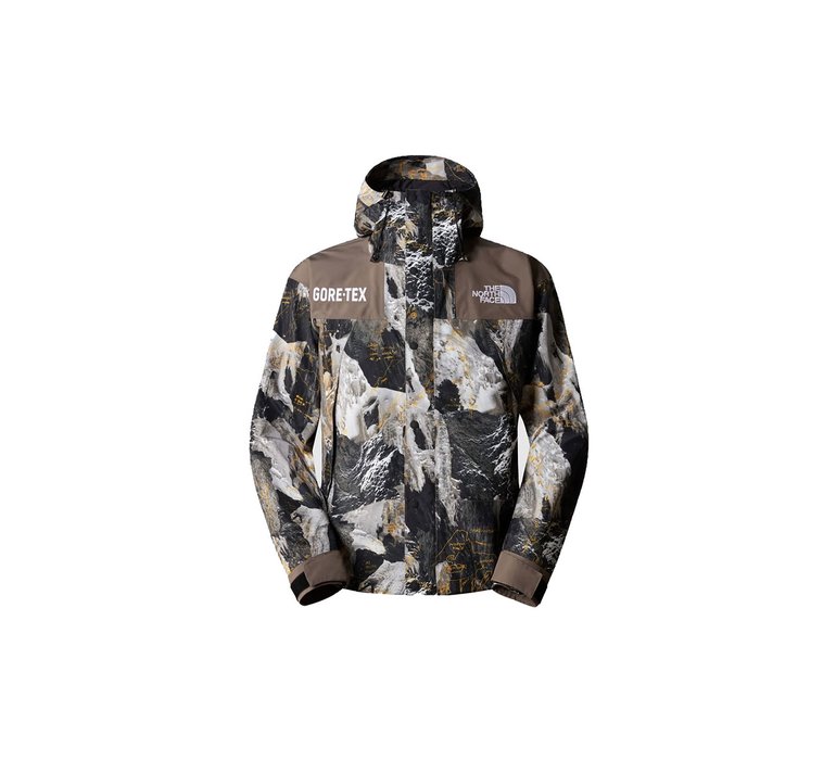 The North Face M Gore-Tex Mountain Jacket