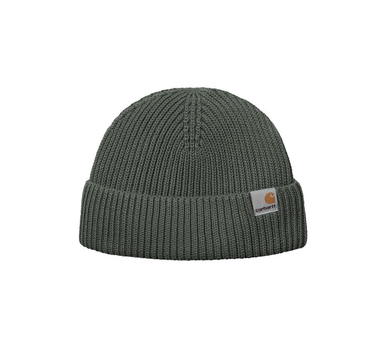 Carhartt WIP Banks Beanie Smoke Green