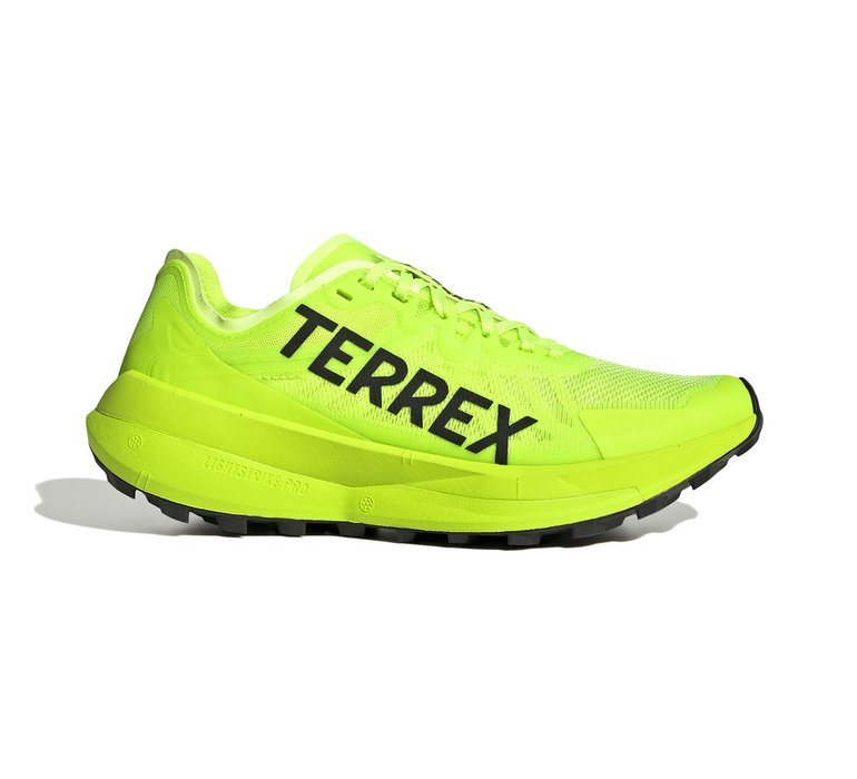 adidas Tenisky Terrex Agravic Speed W