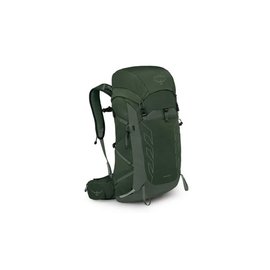 Osprey Talon 33 Green Canopy Pine Leaf