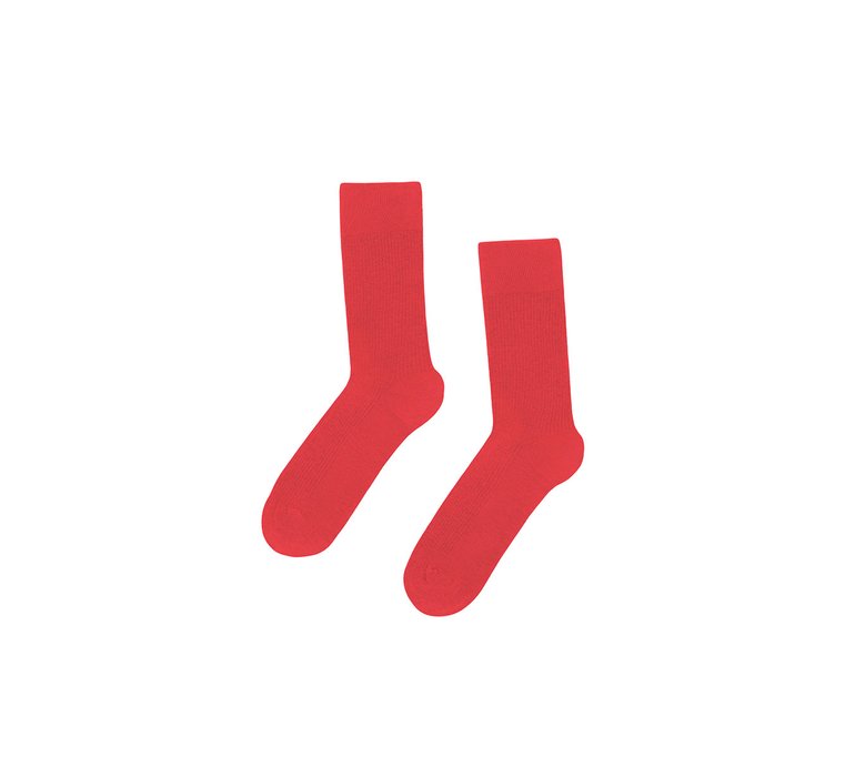 Colorful Standard Classic Organic Socks