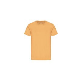 Colorful Standard Classic Organic Tee