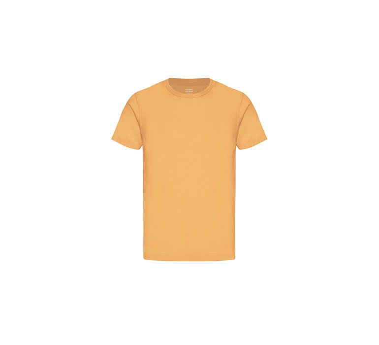 Colorful Standard Classic Organic Tee